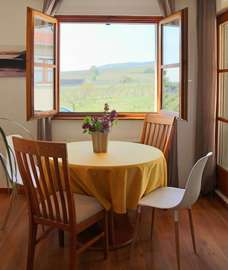 Appartement Vue sur vignes à Riquewihr Extérieur photo